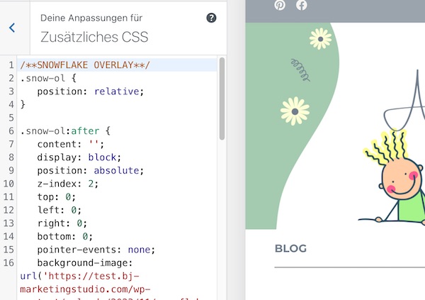 Overlay von Schneeflocken mit dem CSS Code und wo man ihn eingeben muss